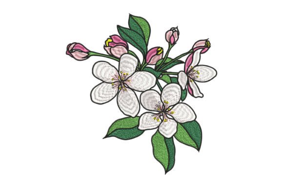 Reviewing Apple Blossom Elegance Embroidery