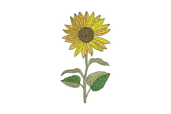 Sunflower Embroidery: A Designer’s Review
